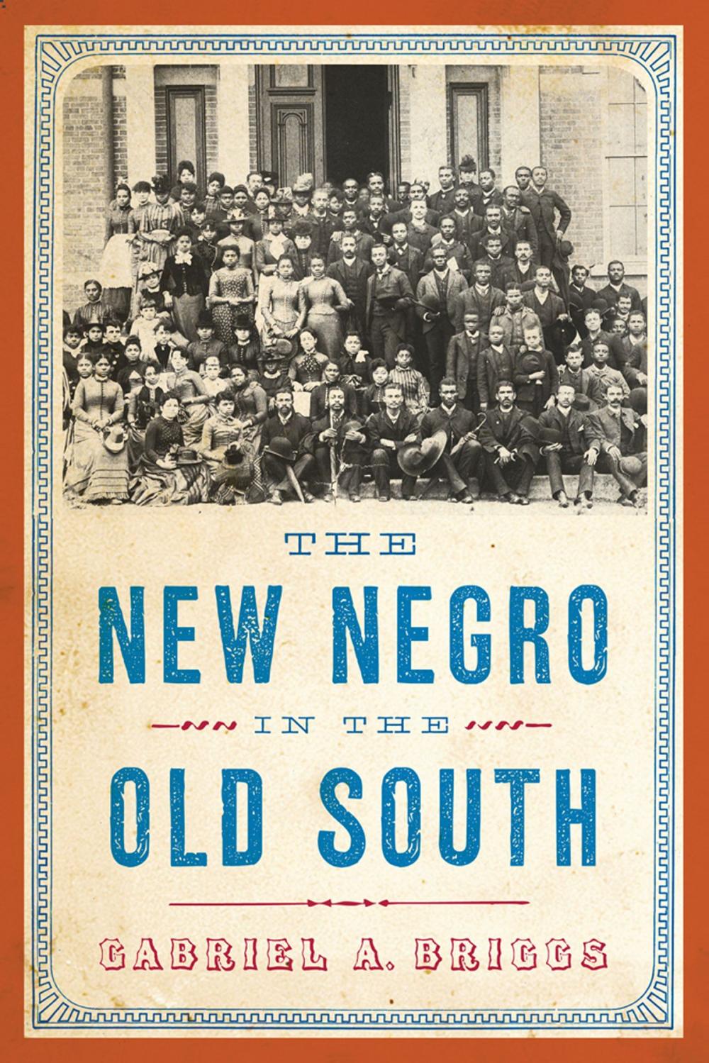 Big bigCover of The New Negro in the Old South