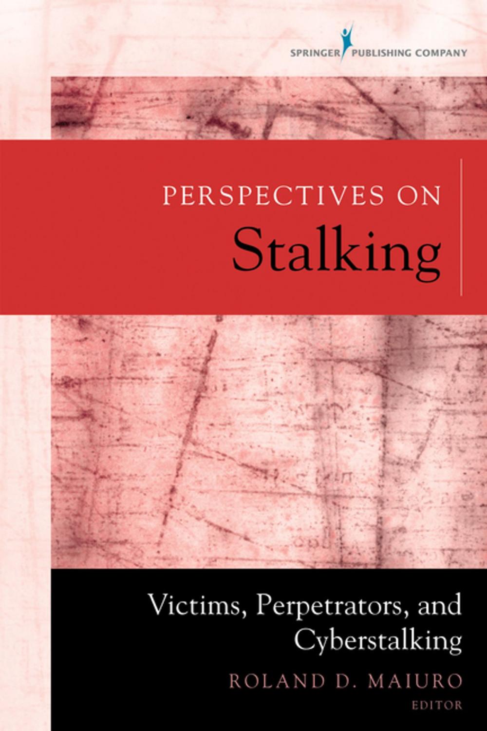 Big bigCover of Perspectives on Stalking