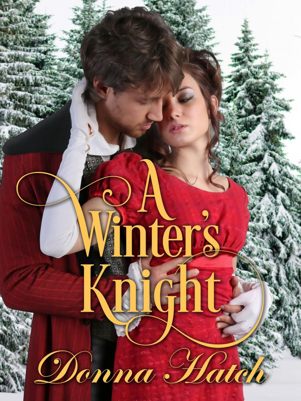 Big bigCover of A Winter's Knight