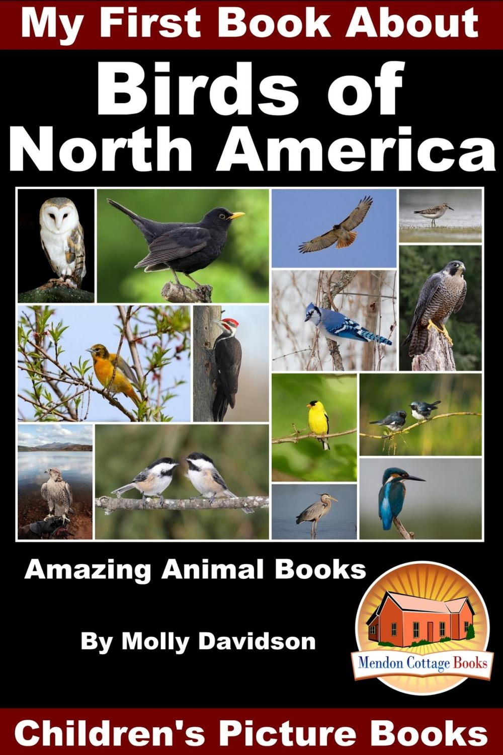 Big bigCover of My First Book About the Birds of North America: Amazing Animal Books - Children's Picture Books