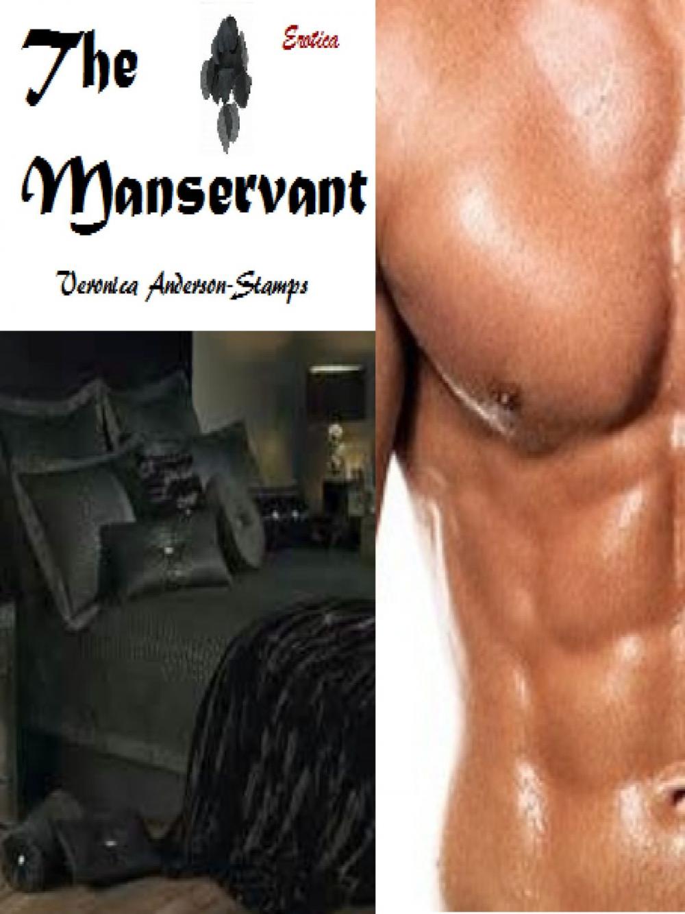 Big bigCover of The Manservant