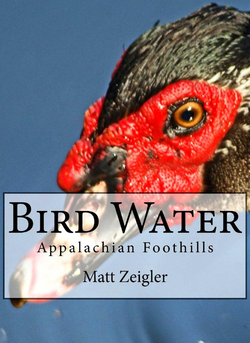Big bigCover of Bird Water: Appalachian Foothills