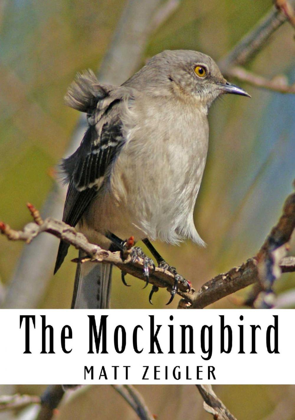 Big bigCover of The Mockingbird