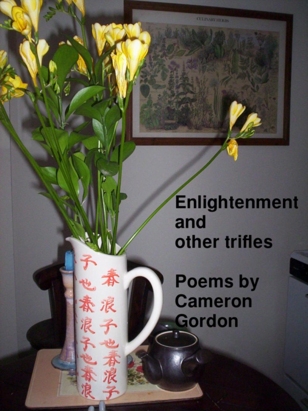 Big bigCover of Enlightenment and other trifles: poems