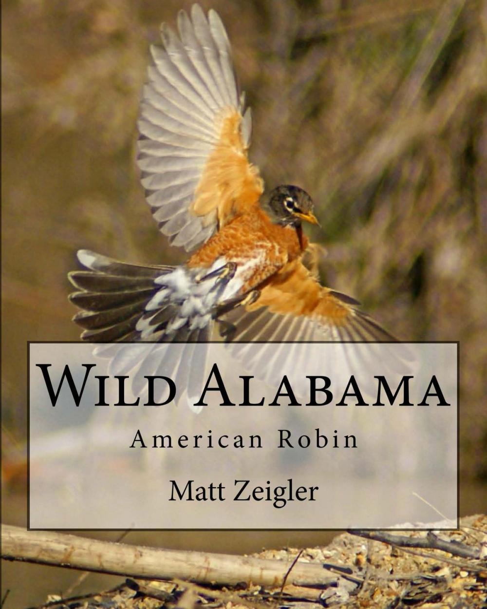 Big bigCover of Wild Alabama: American Robin