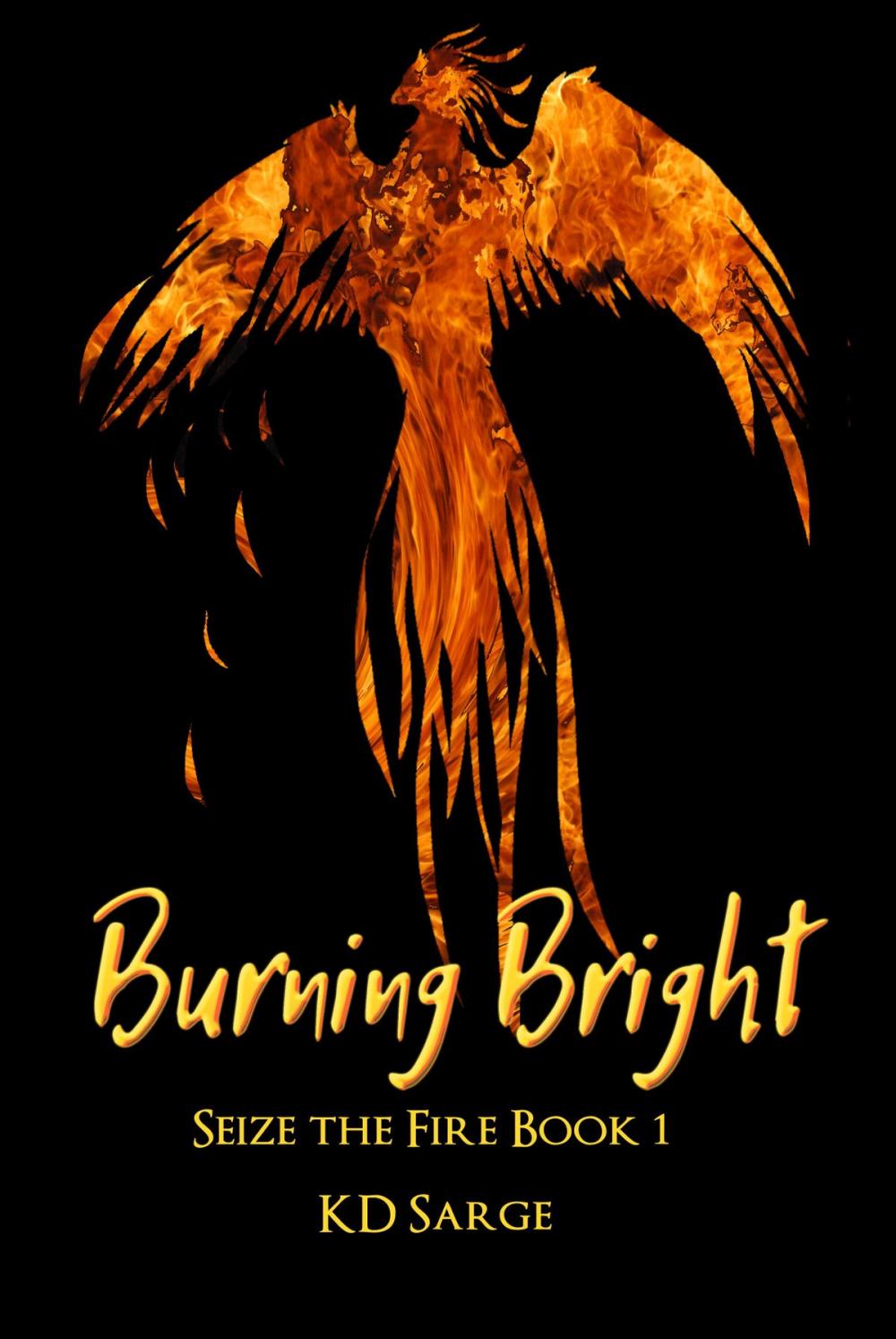 Big bigCover of Burning Bright