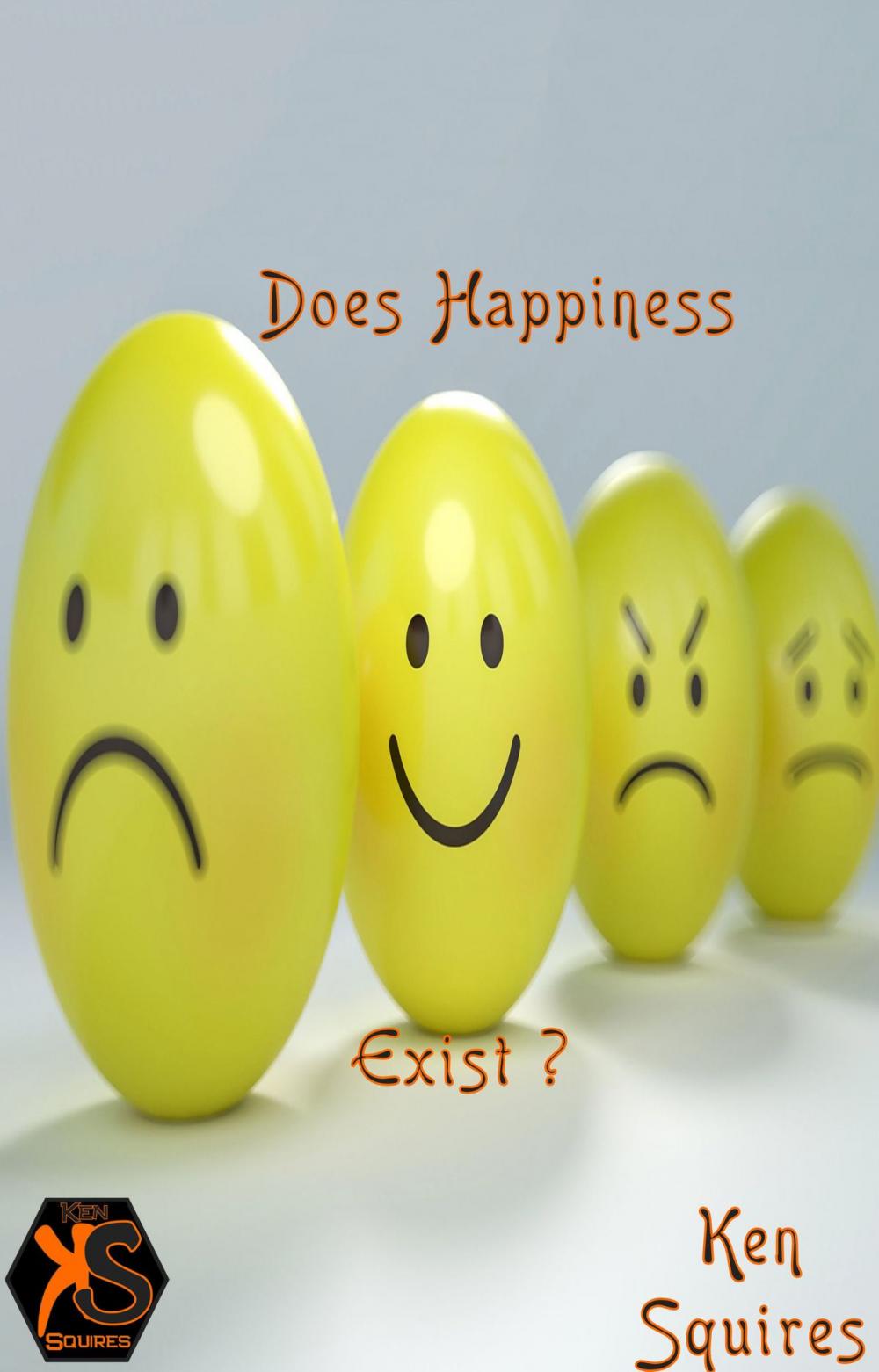 Big bigCover of Does Happiness Exist ?