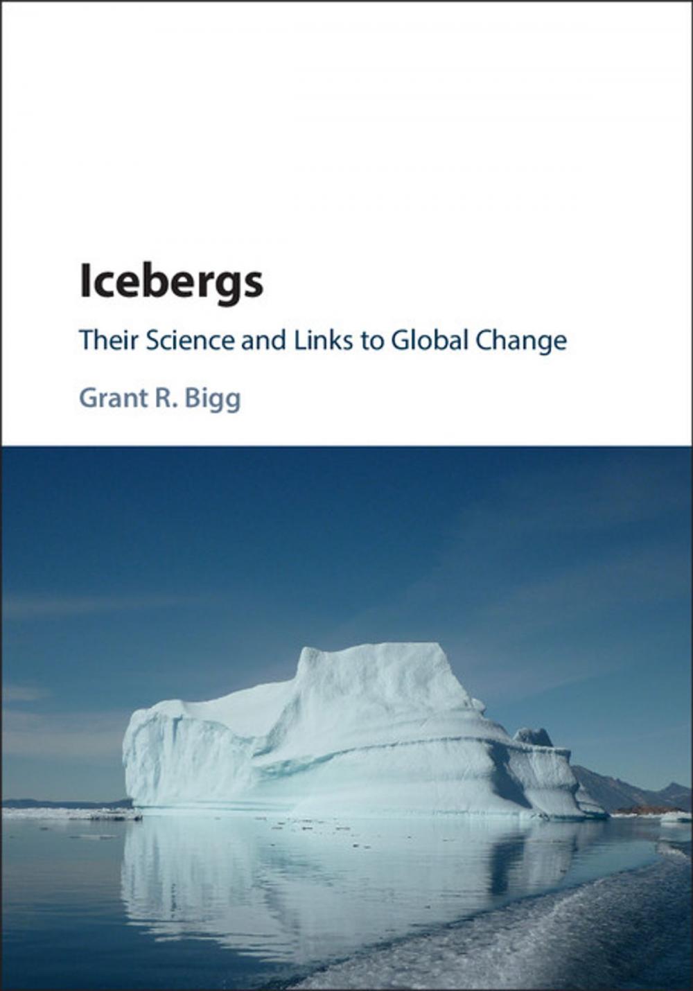 Big bigCover of Icebergs