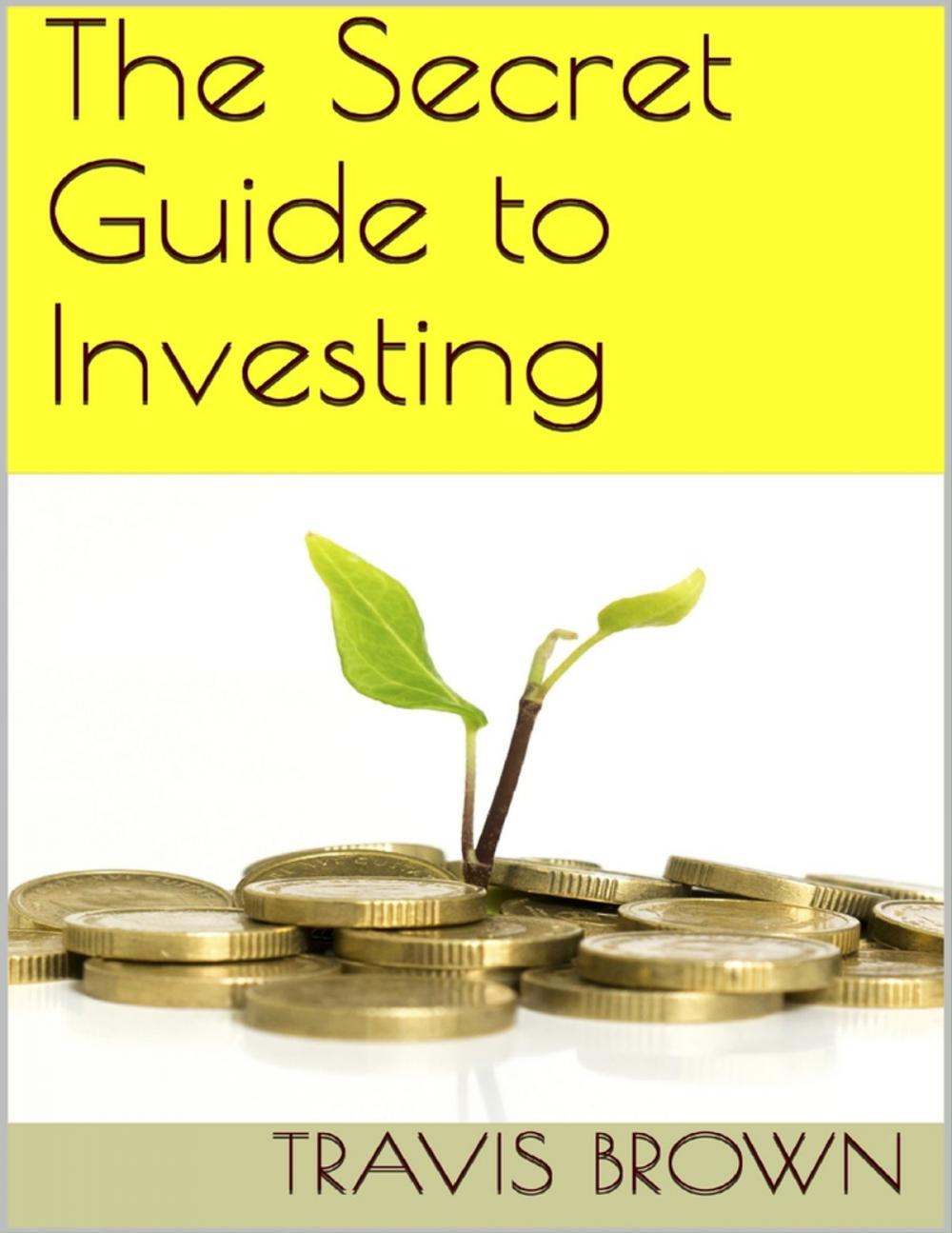 Big bigCover of The Secret Guide to Investing