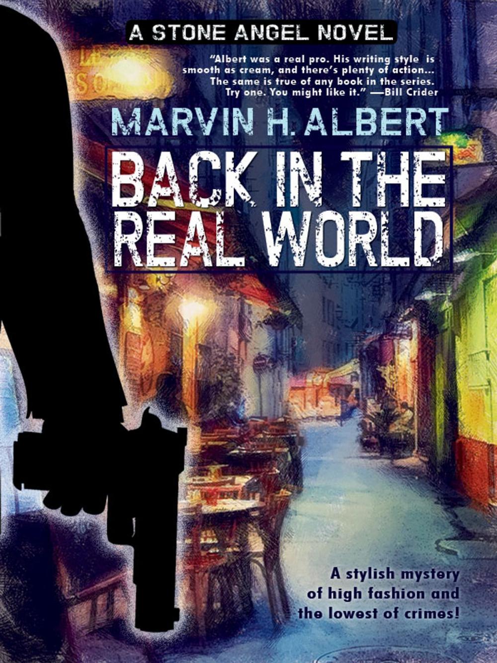 Big bigCover of Back in the Real World (Stone Angel #2)