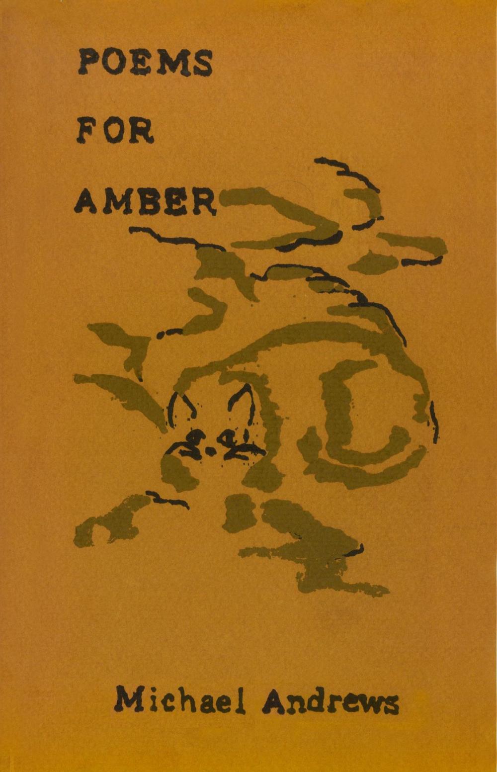 Big bigCover of Poems for Amber