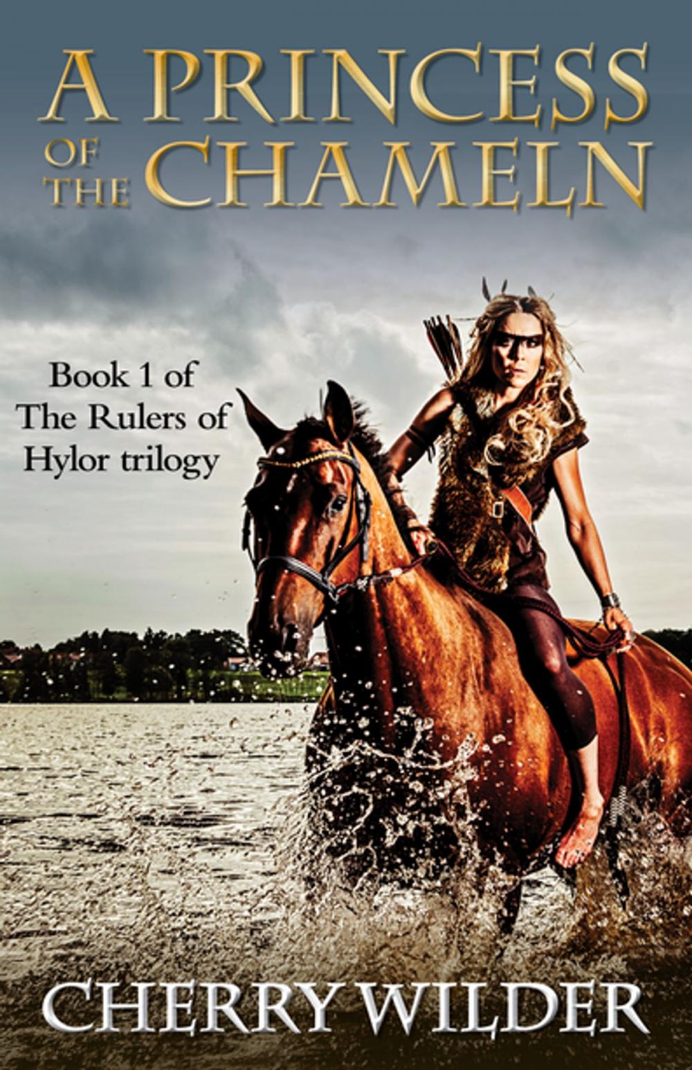 Big bigCover of A Princess of the Chameln