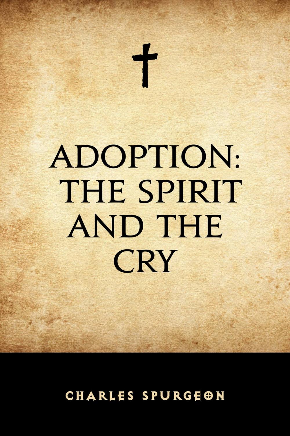 Big bigCover of Adoption: The Spirit and the Cry