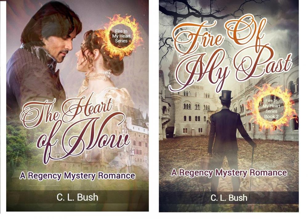 Big bigCover of Fire In My Heart Series 2 Book Set: The Heart of Now & Fire of My Past