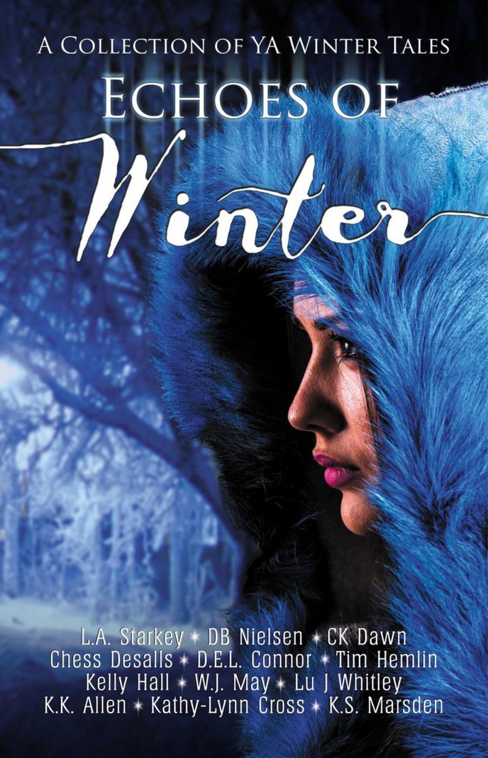 Big bigCover of Echoes of Winter