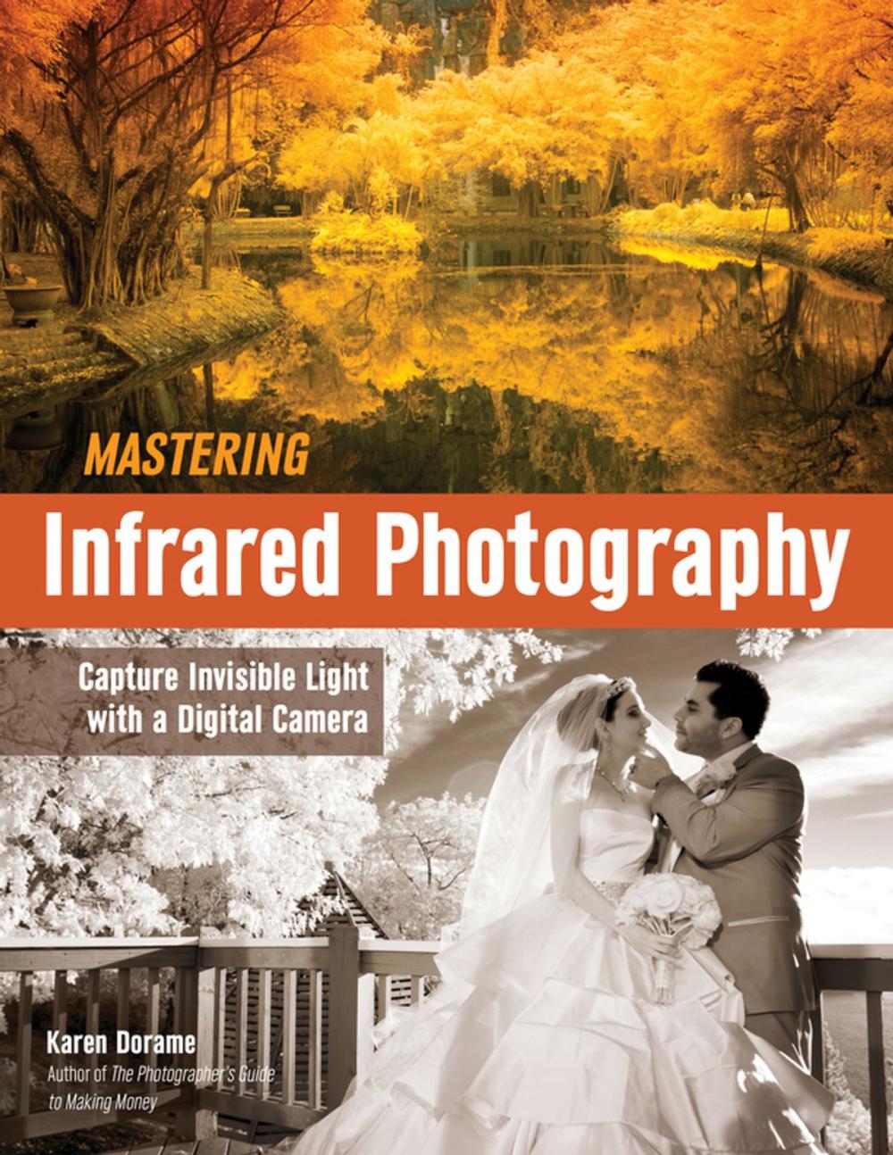 Big bigCover of Mastering Infrared Photography