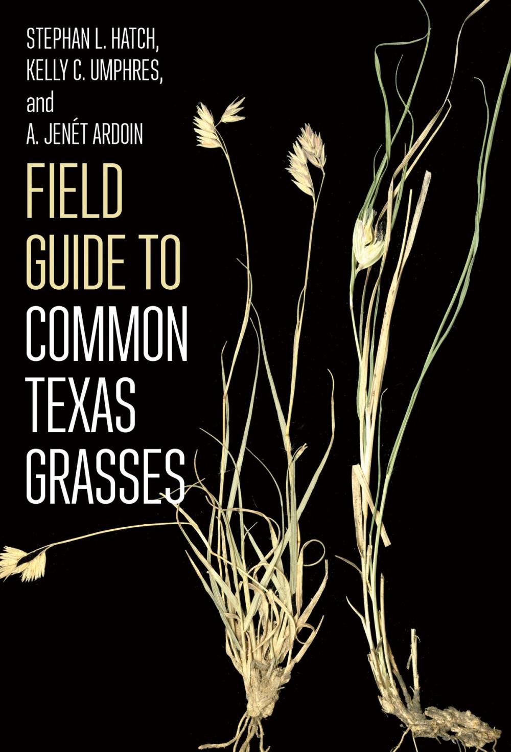 Big bigCover of Field Guide to Common Texas Grasses