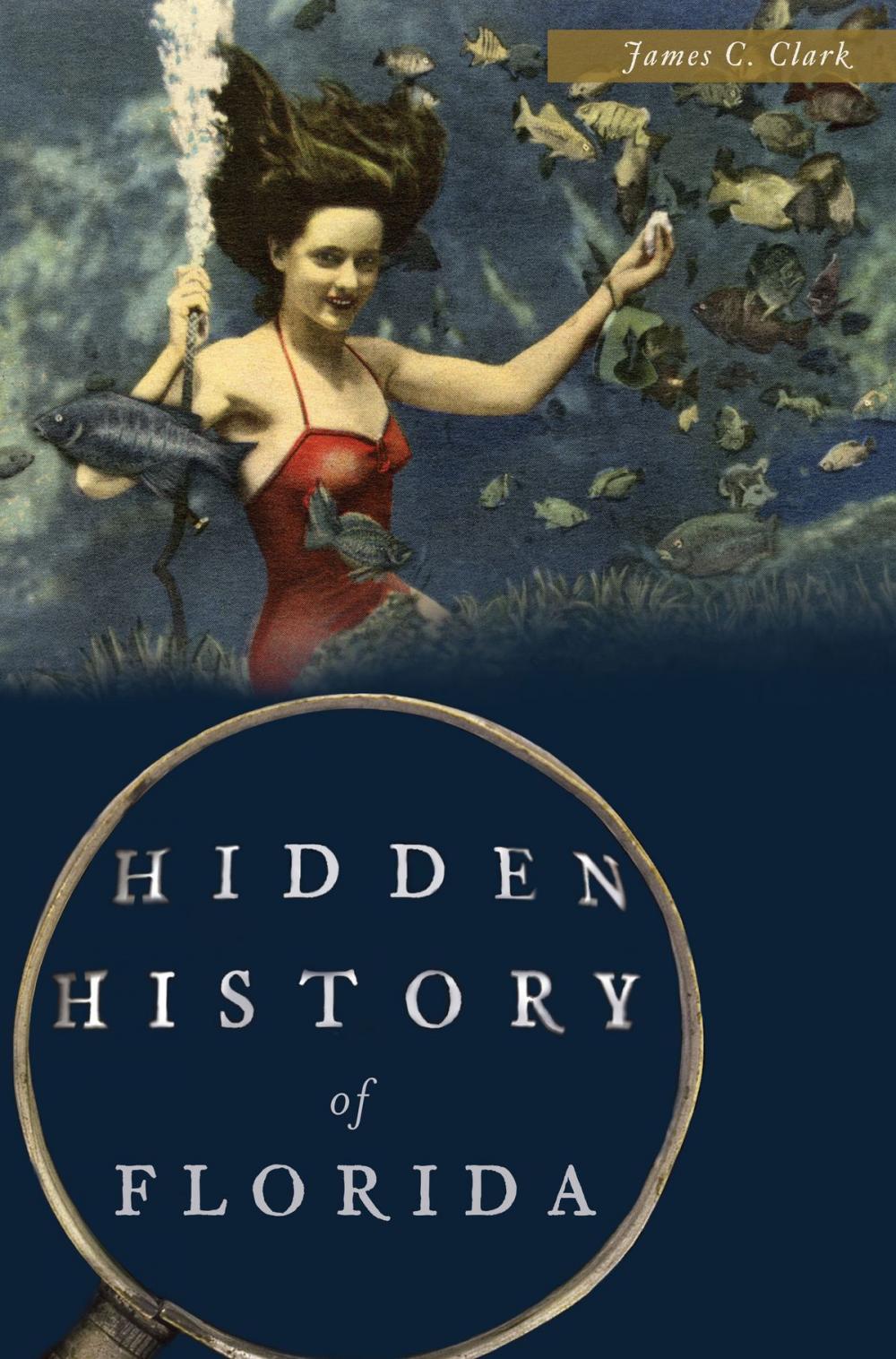Big bigCover of Hidden History of Florida