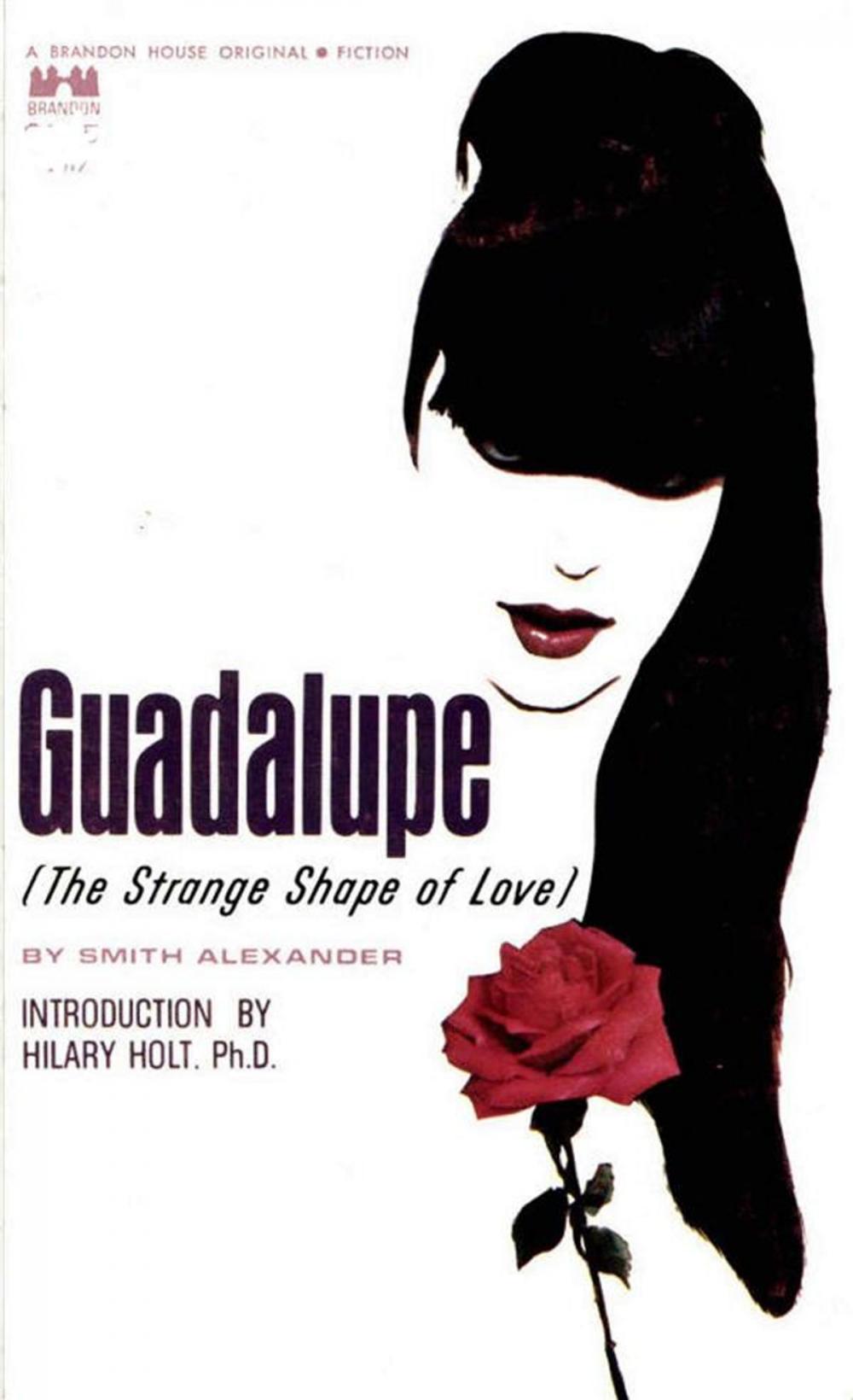 Big bigCover of Guadalupe: The Strange Shape Of Love