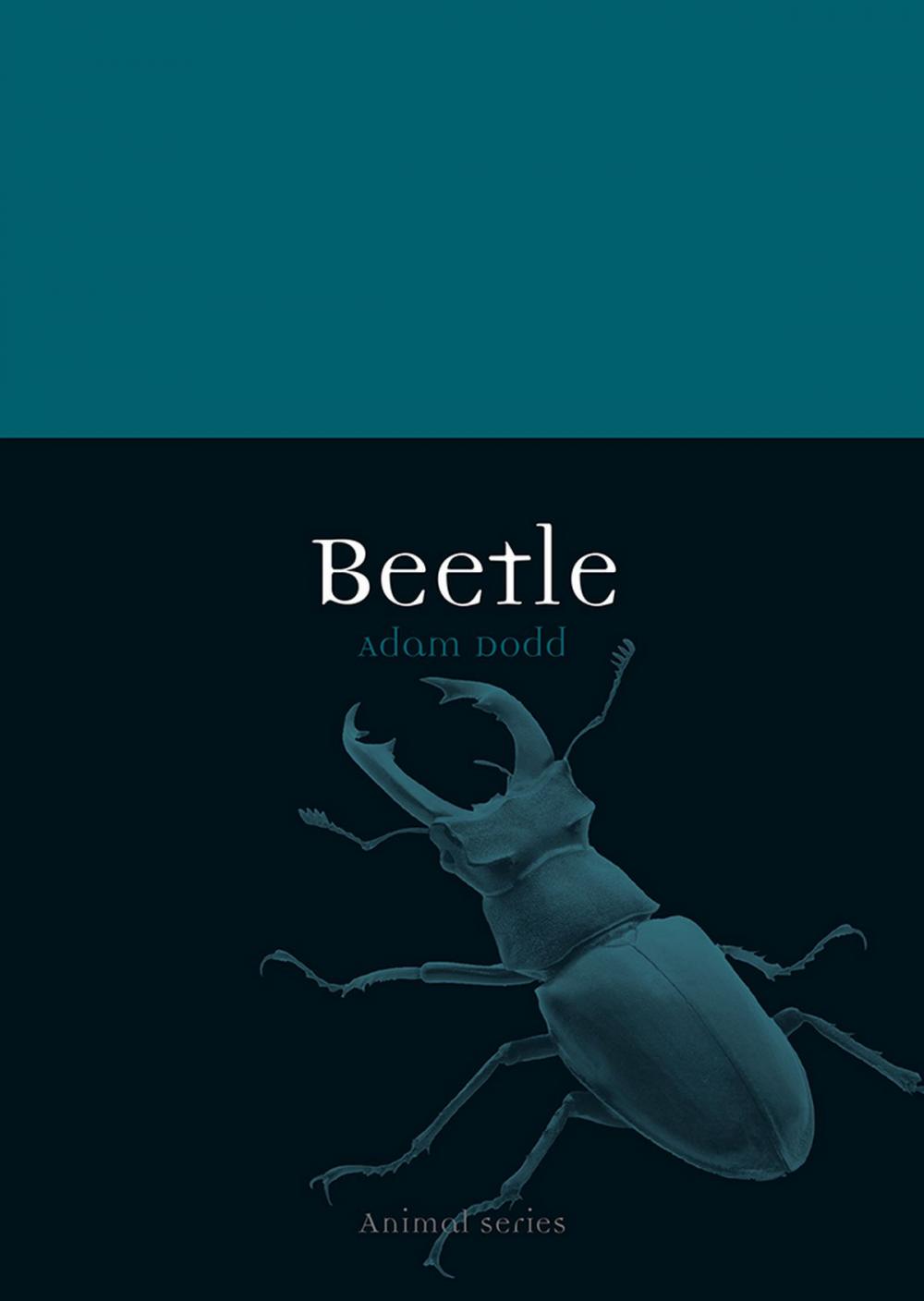 Big bigCover of Beetle