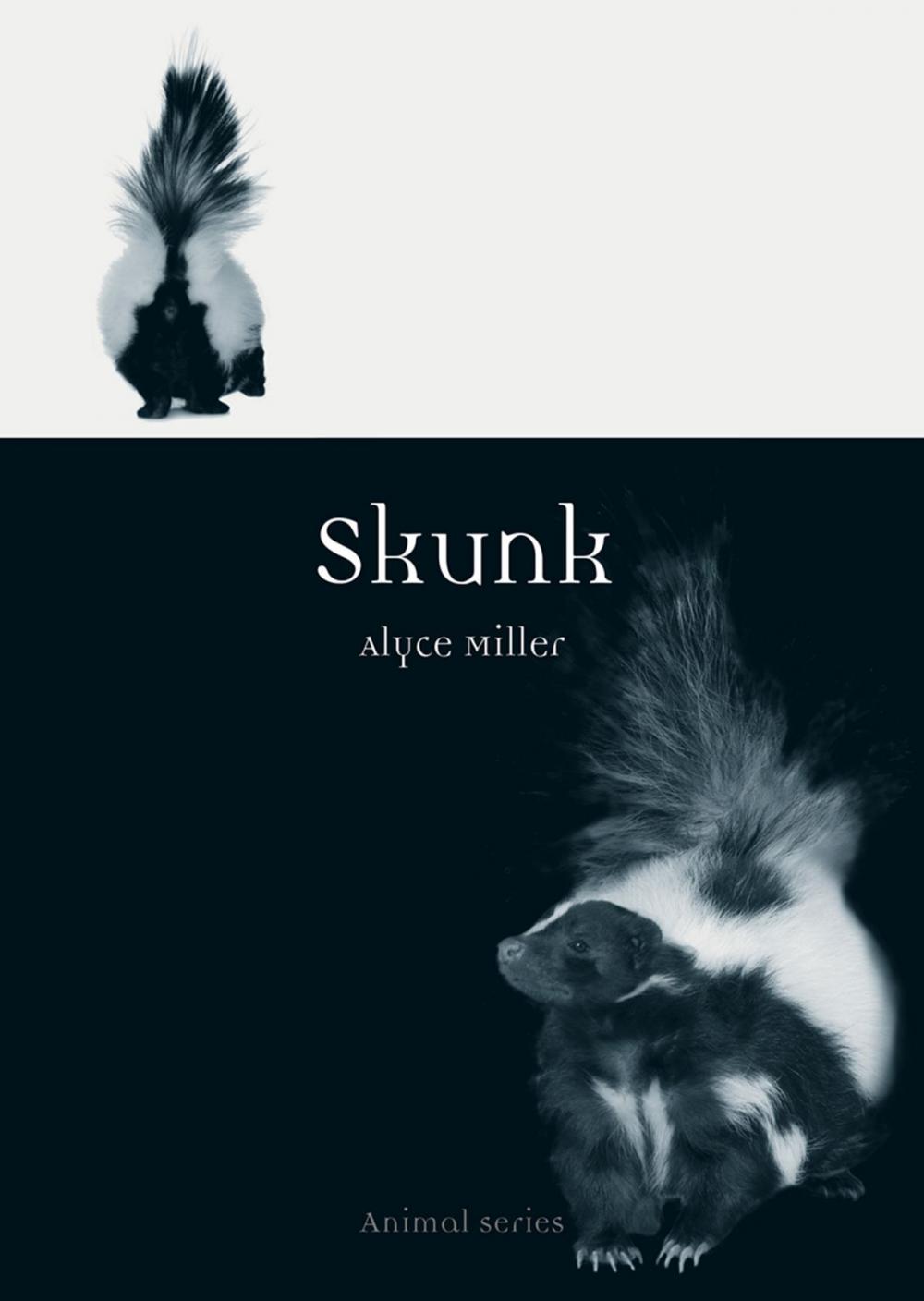 Big bigCover of Skunk