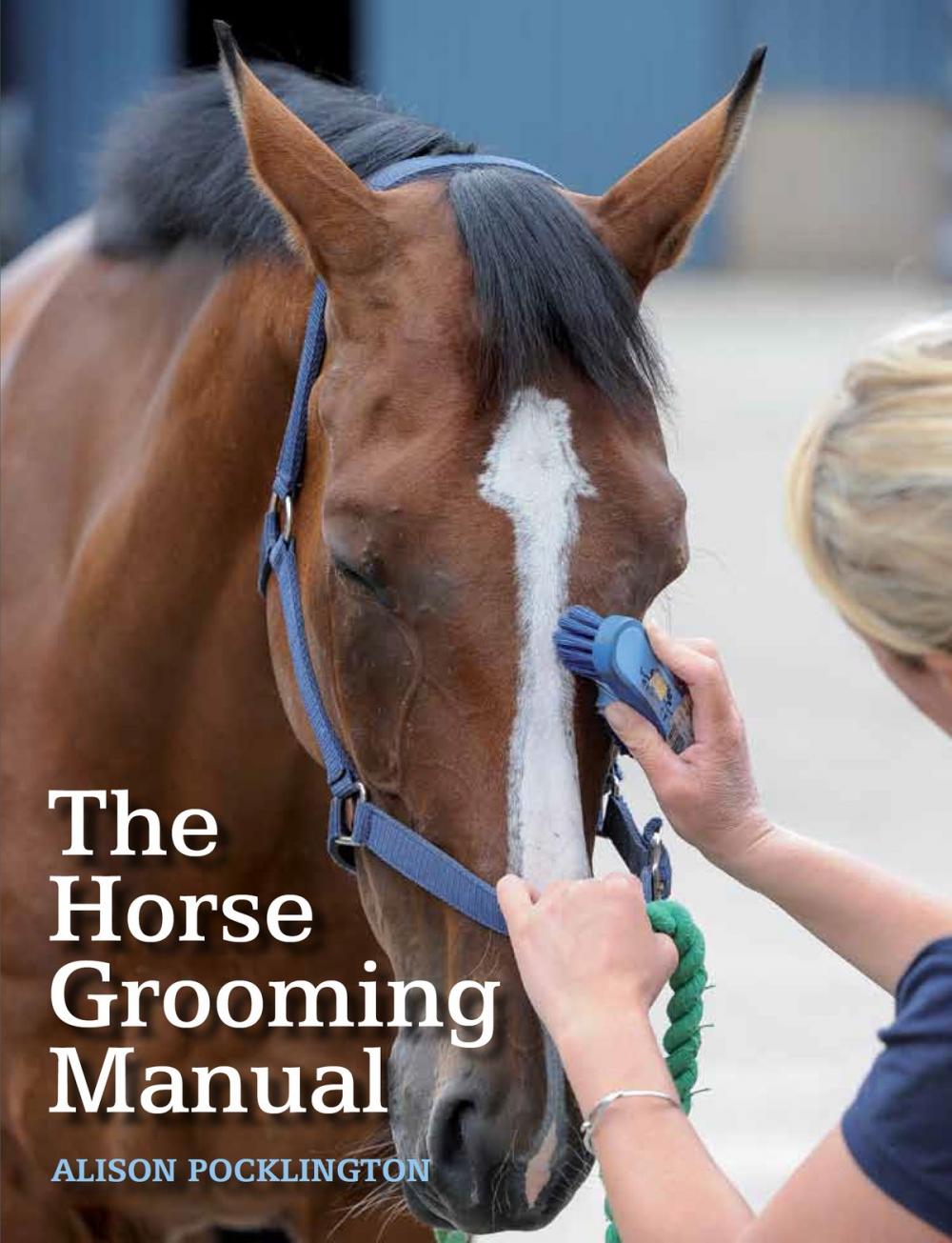 Big bigCover of Horse Grooming Manual
