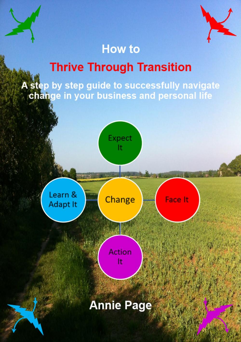 Big bigCover of How to Thrive through Transition