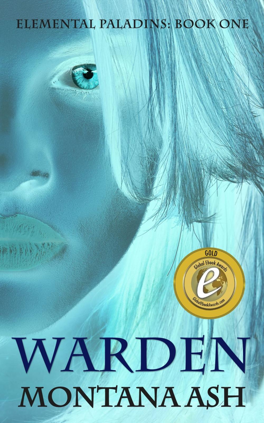 Big bigCover of Warden (Book One of the Elemental Paladins series)