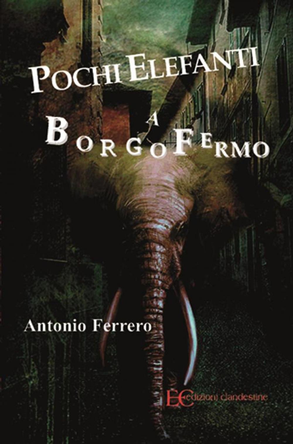 Big bigCover of Pochi elefanti a Borgofermo