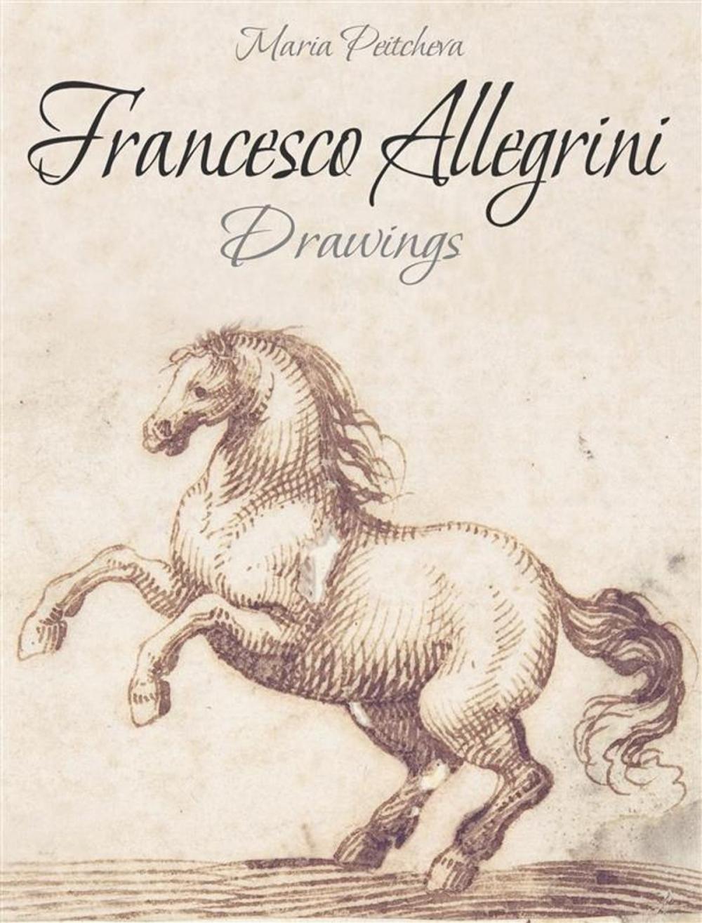 Big bigCover of Francesco Allegrini: Drawings