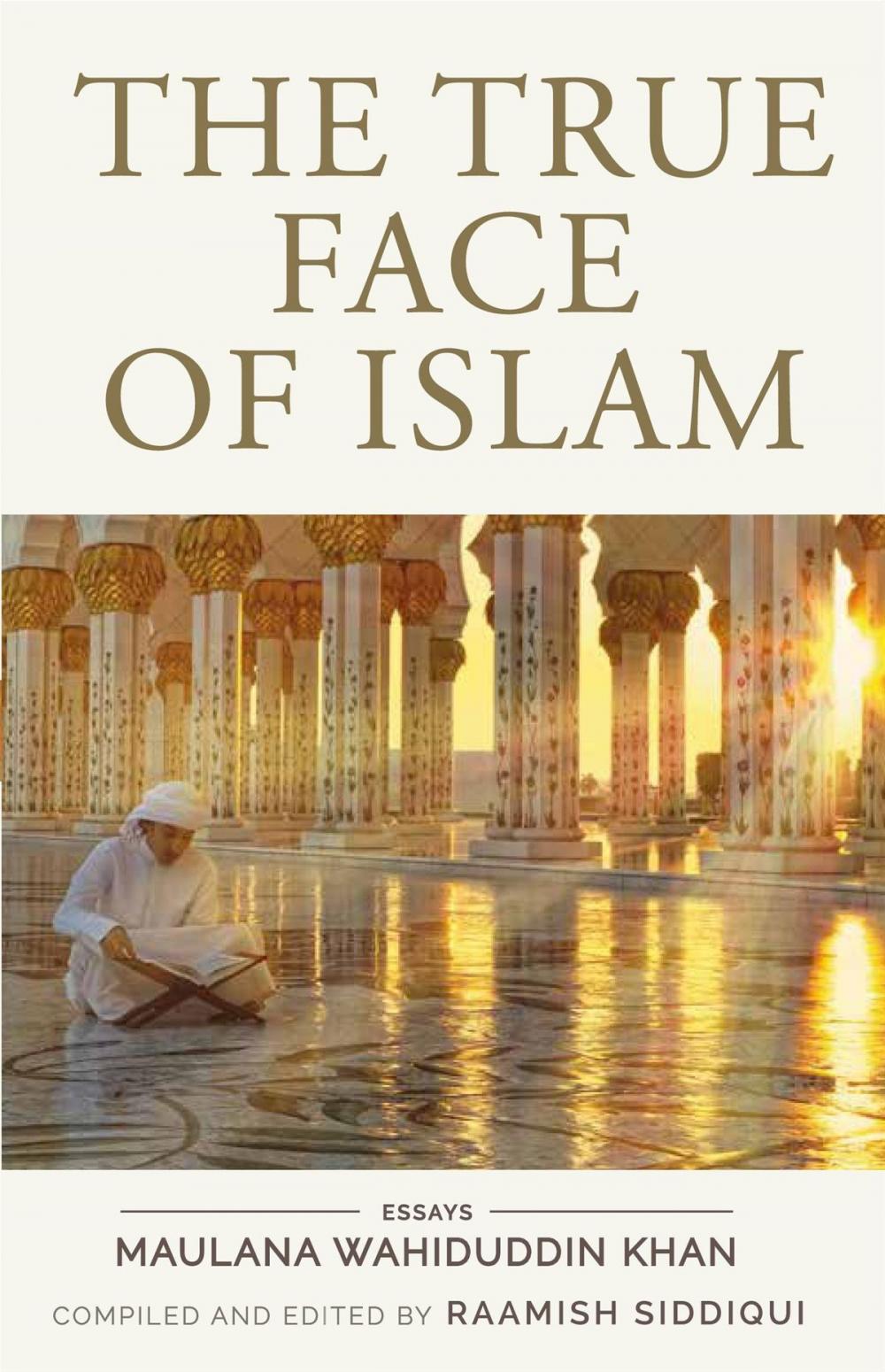 Big bigCover of The True Face of Islam: Essays