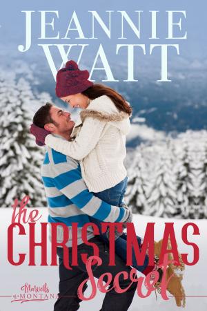 Cover of the book The Christmas Secret by Kate Hewitt