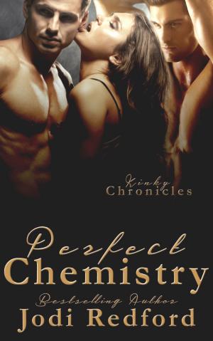 bigCover of the book Perfect Chemistry by 