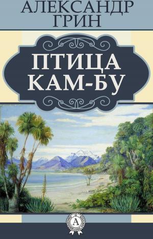 Book cover of Птица Кам-Бу