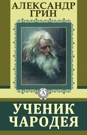 Book cover of Ученик чародея