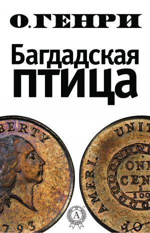Book cover of Багдадская птица