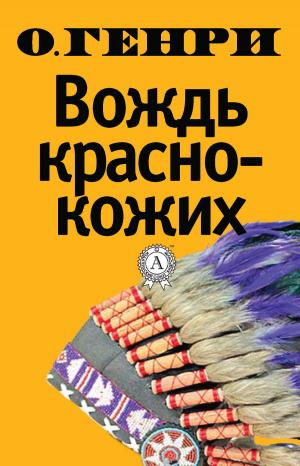 Cover of the book Вождь краснокожих by Василий Жуковский