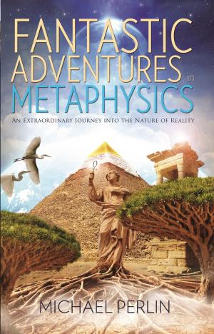 Cover of the book Fantastic Adventures in Metaphysics by Patrick Andries