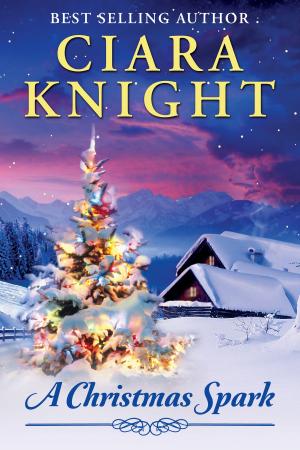 Cover of the book A Christmas Spark by Brian David Floyd