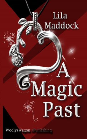 Cover of the book A Magic Past by Carol Kehlmeier