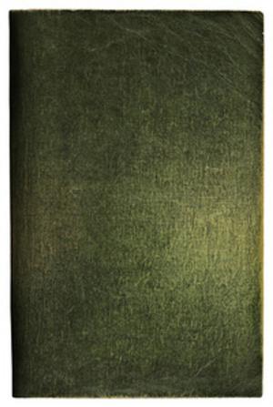 Cover of the book Picounoc le maudit, Tome 1 by Christian Morgenstern