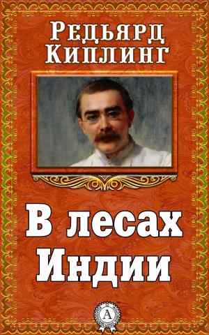 Cover of the book В лесах Индии by Александр Грин