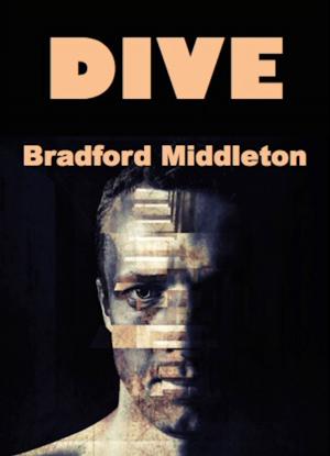 Cover of the book Dive by Chris Roy