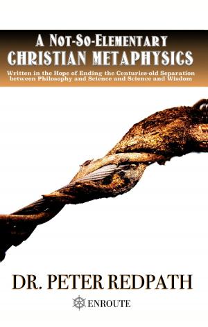 Cover of the book A Not-So-Elementary Christian Metaphysics by T.J. Burdick