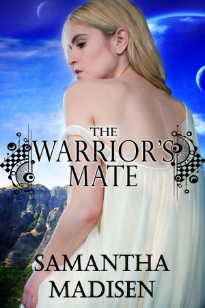 Cover of the book The Warrior's Mate by D. W. Collins