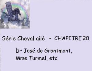 Cover of Chapitre 20 - Dr José de Grantmont, Mme Turmel, etc.