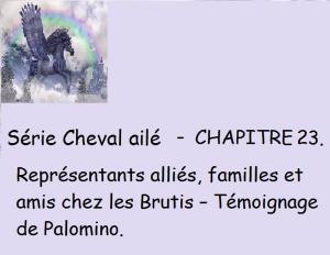 Cover of the book Chapitre 23 - Rencontre de tous les Représentants alliés by Claudette Duchesne (Czara)