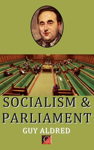 Cover of the book SOCIALISM & PARLIAMENT by Juan Busquets Verges