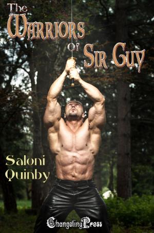 Cover of the book The Warriors of Sir Guy (Witches and Demons 3) by Mikala Ash
