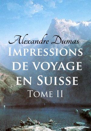 Cover of the book Impressions de voyage en Suisse (tome 2) by Ernesto Panamá